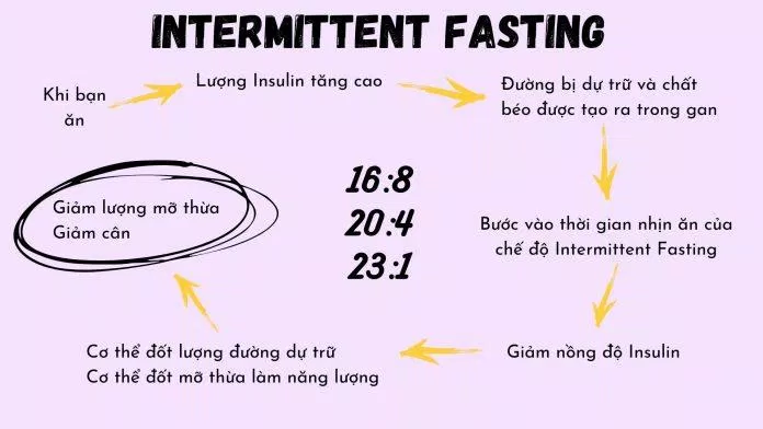Cách thực hiện chế độ IF giúp bạn giảm cân hiệu quả (Ảnh: Ngoc Huyen). Cách thực hiện chế độ IF giúp bạn giảm cân hiệu quả (Ảnh: Ngoc Huyen).