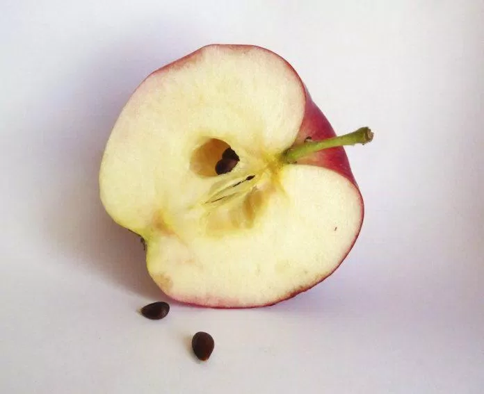 Không ăn hạt táo (Nguồn: Internet)