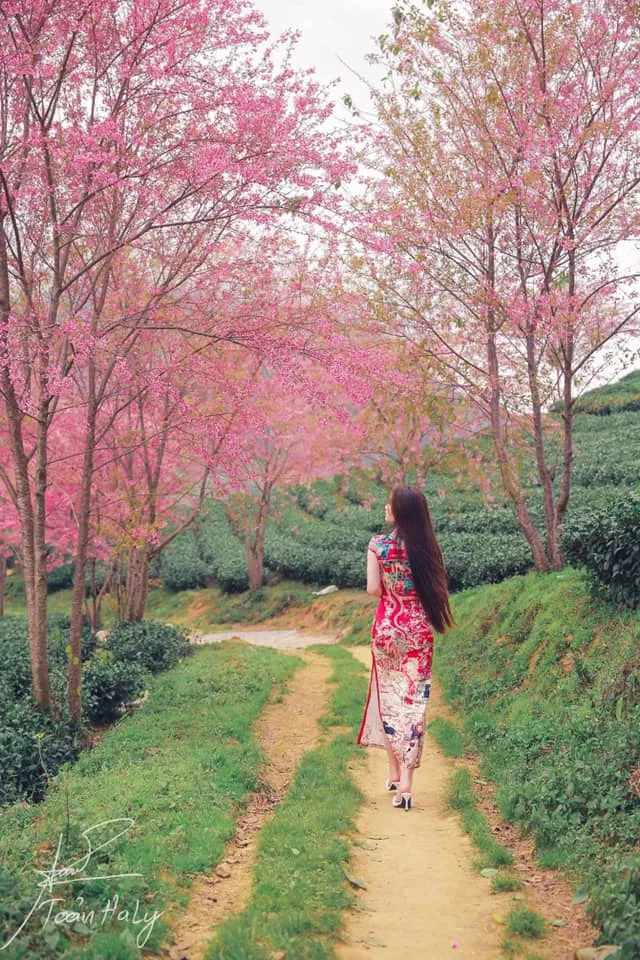 Nên mặc các trang phục màu sáng - Ảnh: Toản Haly Nên mặc các trang phục màu sáng - Ảnh: Toản Haly