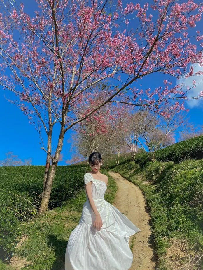 Trang phục phù hợp và không khí đẹp khiến bức hình trở nên hoàn hảo - Ảnh: Ngọc Trang