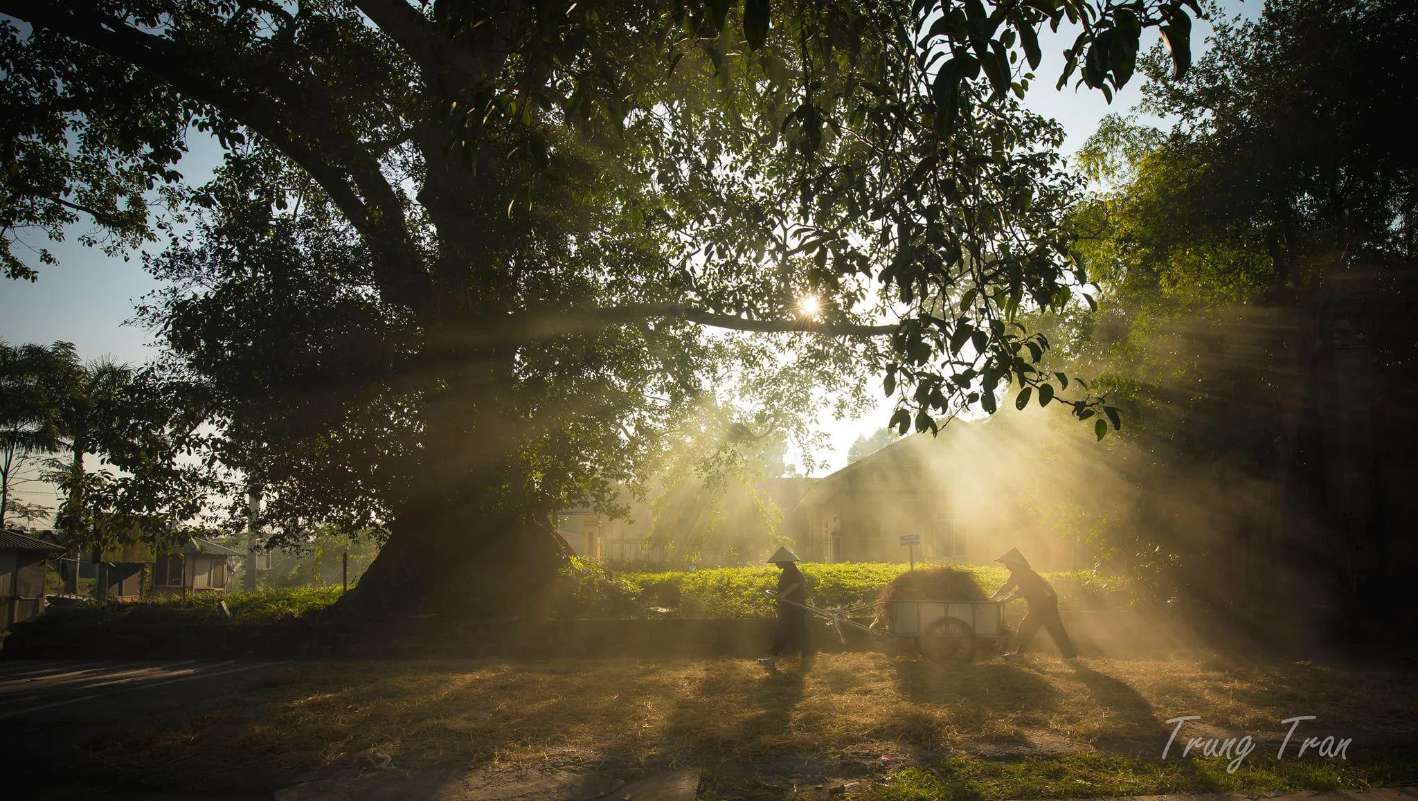 Làng cổ mang một sự bình yên đến lạ - Ảnh: Trung Trần Làng cổ mang một sự bình yên đến lạ - Ảnh: Trung Trần