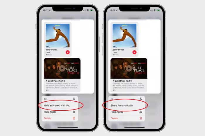 Bên cạnh macOS Monterey, Apple cũng đã đem "Share With You" lên iOS 15 (Ảnh: Internet).