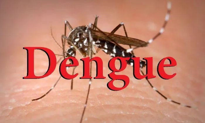 Muỗi vằn là trung gian truyền bệnh của bệnh sốt xuất huyết (Nguồn: Internet).