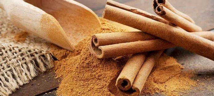 Quế có nhiều công dụng tuyệt vời và được sử dụng rất nhiều trong Đông y. (Ảnh: Internet) Quế có nhiều công dụng tuyệt vời và được sử dụng rất nhiều trong Đông y. (Ảnh: Internet)