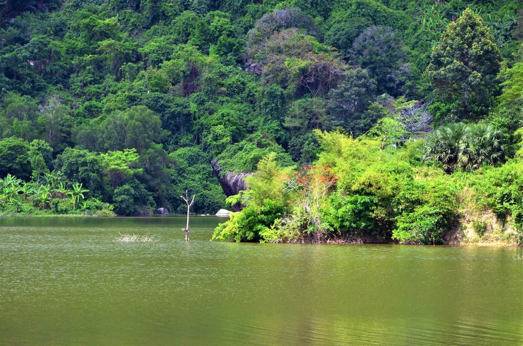 Hồ Ô Thum (Nguồn: Internet).