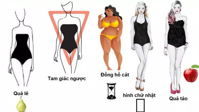 Các dáng người cơ bản của con gái (ảnh: internet)