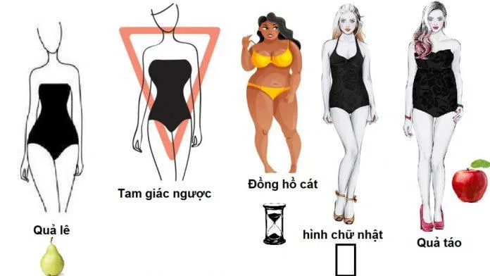 Các dáng người cơ bản của con gái (ảnh: internet)