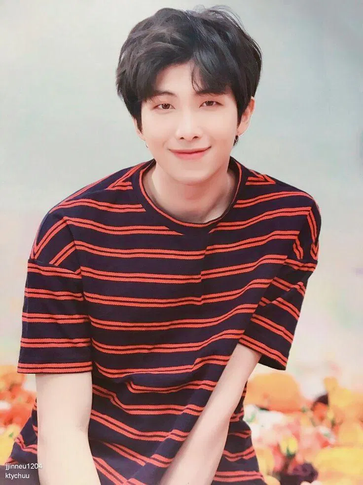 RM BTS (Ảnh: Internet)