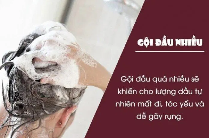 Dừng ngay hành động gội đầu quá nhiều lần của bạn để bảo vệ tóc và da đầu. (Ảnh: Internet)