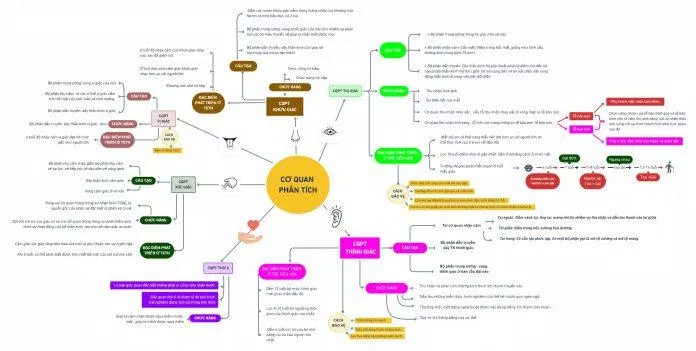 6 trang web hữu ích dành cho Học sinh, Sinh viên