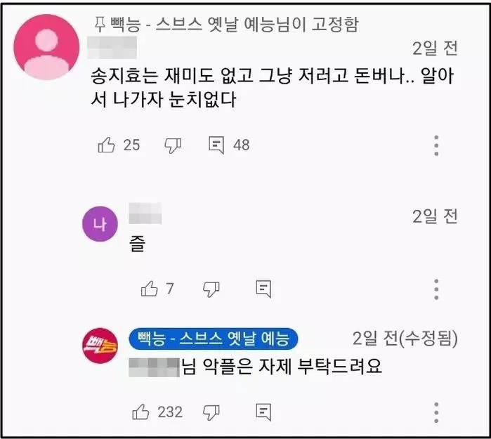 Một bình luận ác ý hướng đến thành viên Song Ji Hyo. (Ảnh: Internet).