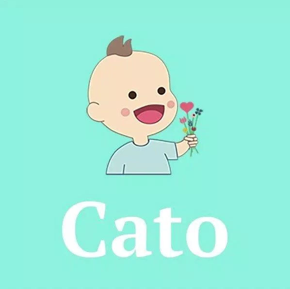 Cato có nghĩa là "biết tất cả mọi thứ" (Ảnh: Internet)
