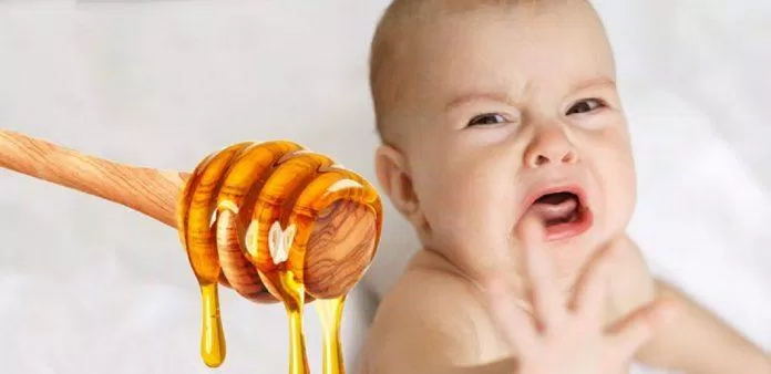 Cơ quan tiêu hóa của trẻ còn yếu nên không nên cho trẻ uống mật ong.  (Ảnh: Internet)