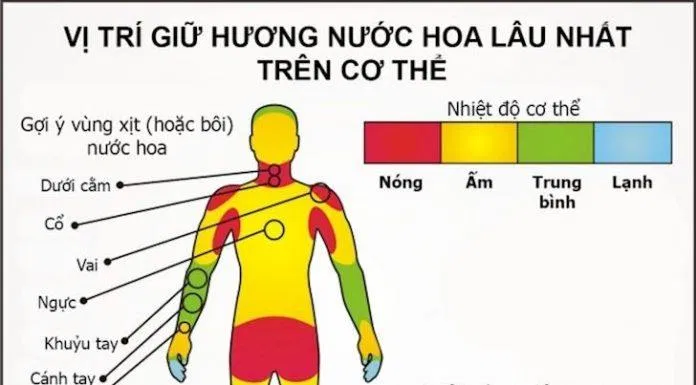 Lưu ý một số vị trí xịt nước hoa để giữ mùi lâu hơn (Nguồn: Internet)