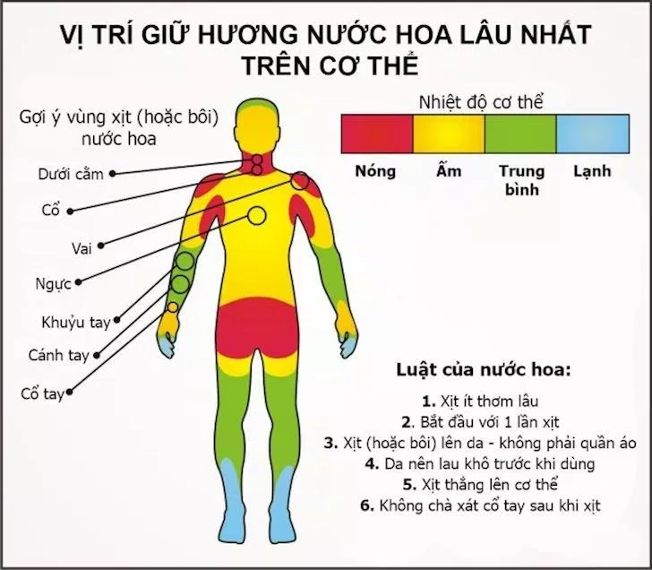 Lưu ý một số vị trí xịt nước hoa để giữ mùi lâu hơn (Nguồn: Internet)