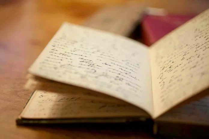 Bạn có thể viết bất cứ điều gì bạn muốn trong cuốn nhật ký của mình (Nguồn: Internet).