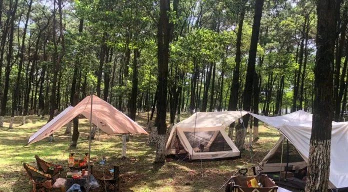 Không gian cắm trại vô cùng rộng rãi và có nhiều cây xanh (Ảnh: Internet).