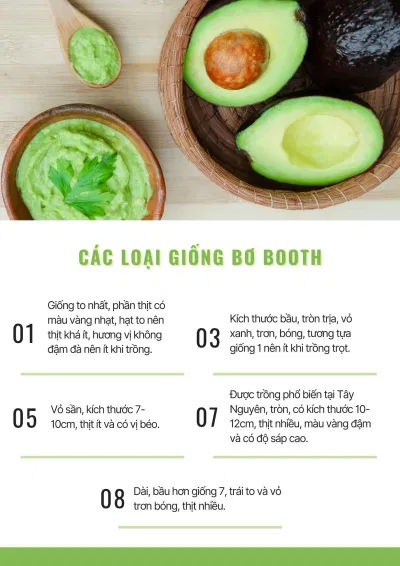 Các loại giống bơ Booth (Ảnh: Internet). Các loại giống bơ Booth (Ảnh: Internet).