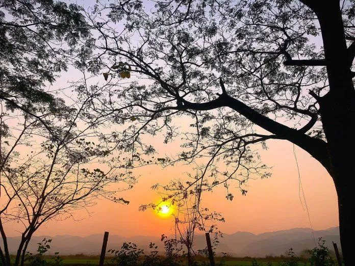 Hoàng hôn trên cánh đồng Mường Thanh (Nguồn: minhlakhenh). Hoàng hôn trên cánh đồng Mường Thanh (Nguồn: minhlakhenh).