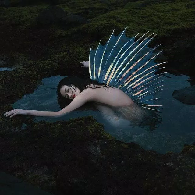 Dự án 365 (Nguồn: Instagram).