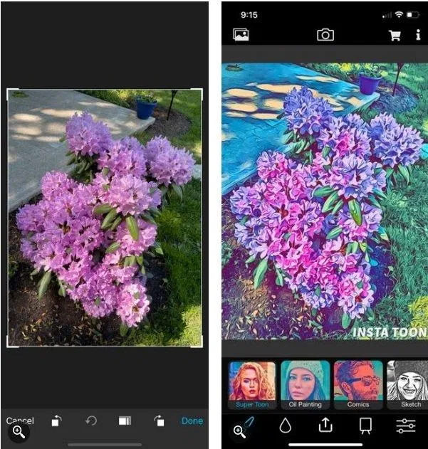 Biến ảnh chụp thành tranh vẽ với InstaToon (Ảnh: Internet). Biến ảnh chụp thành tranh vẽ với InstaToon (Ảnh: Internet).