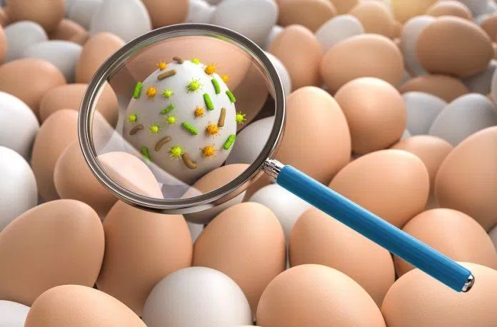 Thực phẩm bẩn có thể chứa mầm bệnh gây ngộ độc tiêu hóa (Ảnh: Internet). Thực phẩm bẩn có thể chứa mầm bệnh gây ngộ độc tiêu hóa (Ảnh: Internet).