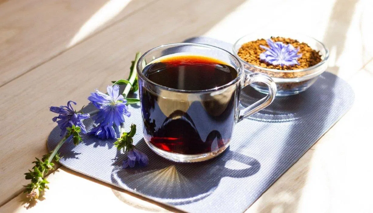 Cà phê chicory có nhiều lợi ích tiềm năng cho sức khỏe (Ảnh: Internet). Cà phê chicory có nhiều lợi ích tiềm năng cho sức khỏe (Ảnh: Internet).