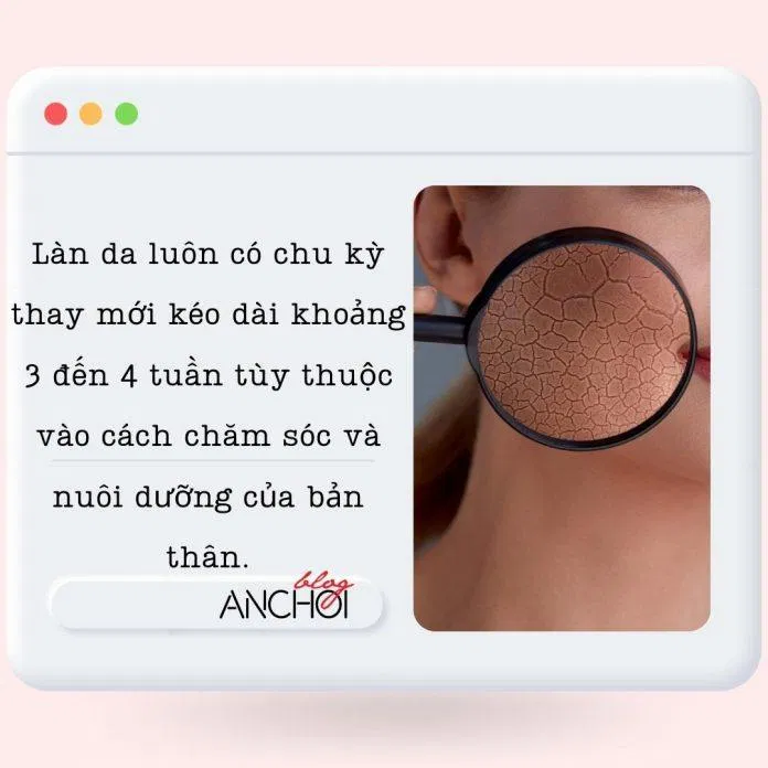 Ở độ tuổi 20 làn da sẽ có khả năng thay mới mạnh mẽ nên duy trì được nét trẻ trung, tươi sáng ( Nguồn: BlogAnChoi)