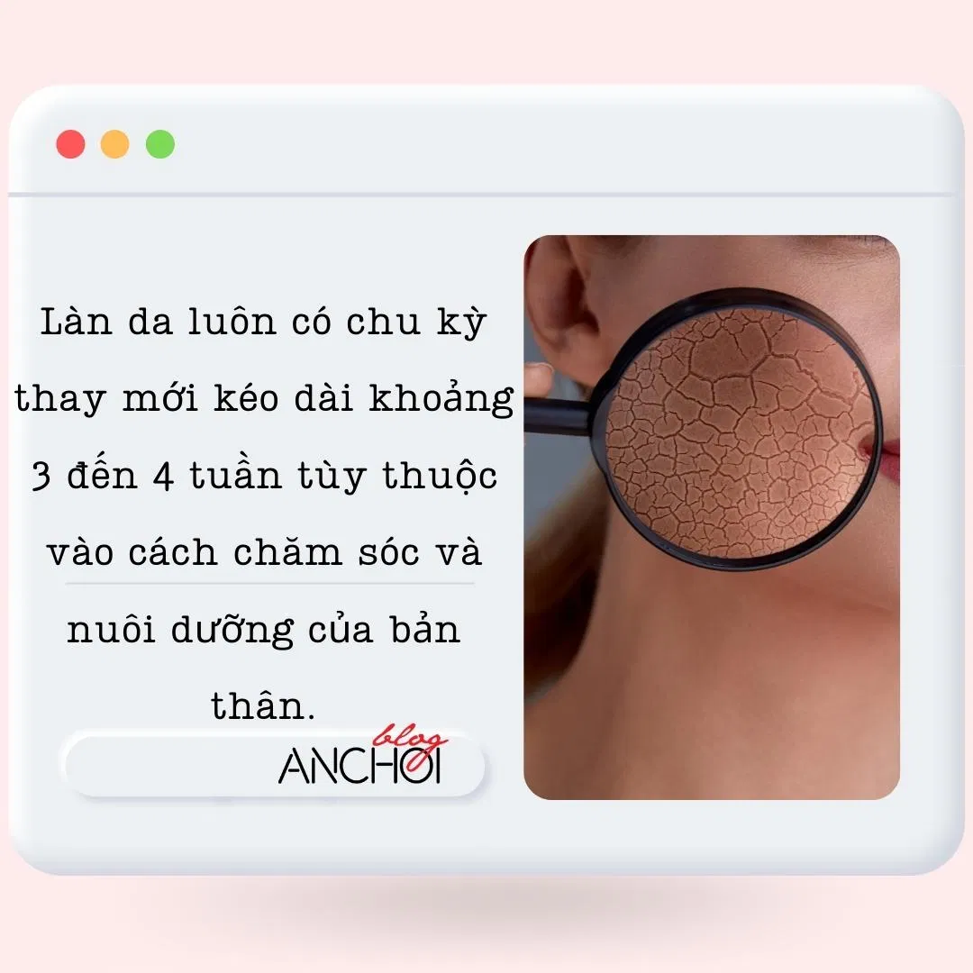 Ở độ tuổi 20 làn da sẽ có khả năng thay mới mạnh mẽ nên duy trì được nét trẻ trung, tươi sáng ( Nguồn: BlogAnChoi)