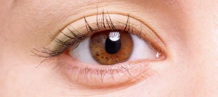 Cấu tạo da vùng mắt (Nguồn: Internet).