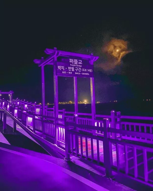 Cây cầu Tím lung linh vào buổi tối (Nguồn ảnh: Internet).