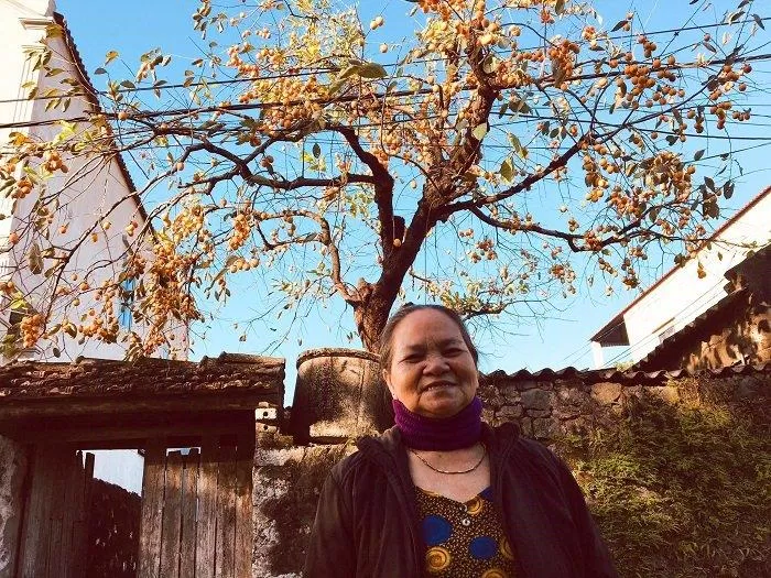 Chân dung cô Xiêm - chủ nhân cây hồng trăm tuổi tại Ninh Bình (Nguồn: Đoàn Sang).