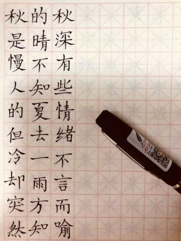 Luyện viết chữ Hán (Ảnh: Internet)