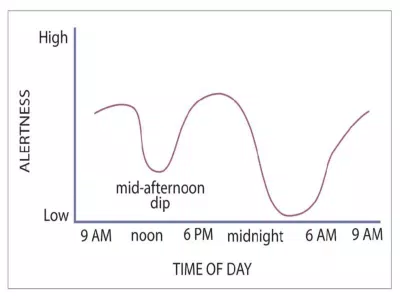 Mức độ tỉnh táo tương ứng với chu kỳ thời gian theo nhịp điệu sinh học (Nguồn: Internet).