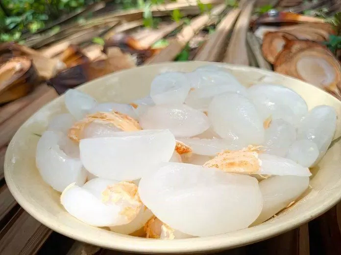 Phần cơm dừa nước trắng ngần, ngọt thơm, có thể chế biến được đa dạng món (Nguồn: Phương Oliver).