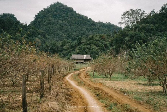 Mặc dù đường đi khó nhưng khung cảnh ở đây rất đẹp - Ảnh: Chung Nguyễn