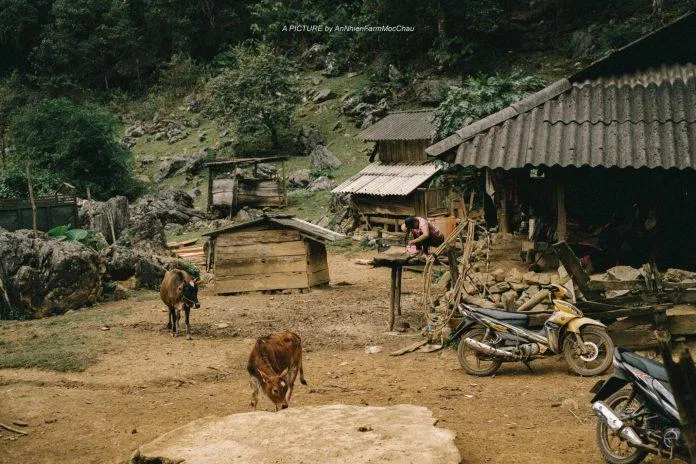 Khung cảnh bình yên của Hang Táu - Ảnh: Chung Nguyễn Khung cảnh bình yên của Hang Táu - Ảnh: Chung Nguyễn