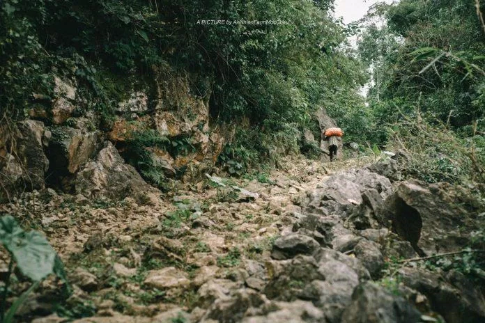 Những con đường đi vào Hang Táu khá khó khăn - Ảnh: Chung Nguyễn