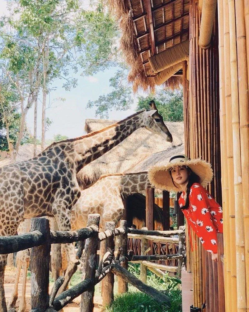 Công viên Safari - Ảnh: Internet