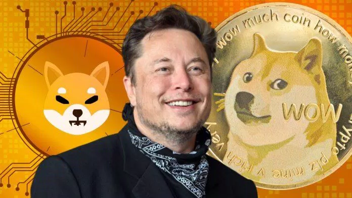 Elon Musk là gương mặt thân quen trong việc ảnh hưởng đến coin "chó" (Nguồn: Internet).