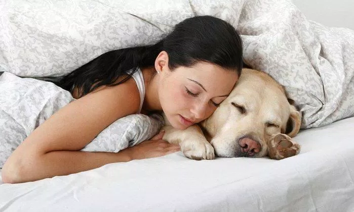Cả thế giới của một chú chó chính là bạn! (Nguồn: Internet).