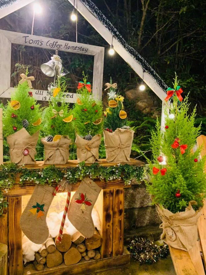 Khung cảnh Giáng sinh tại quán (Nguồn: TOM'S Coffee Homestay) Khám phá 11 địa điểm check-in Noel tại Nha Trang siêu xinh cực hot 11 địa điểm check in cực hot mùa Noel tại Nha Trang AC Tea and Cooffe De Agosto địa điểm địa điểm check in noel tại nha trang First Bistro Nha Trang I AM CAKE khám phá MADI Maison Vanis My Cafe Nha Trang The Dreamers coffee Shop Tom Coffee Homestay Vibe coffee Store Yen Garden Bistro