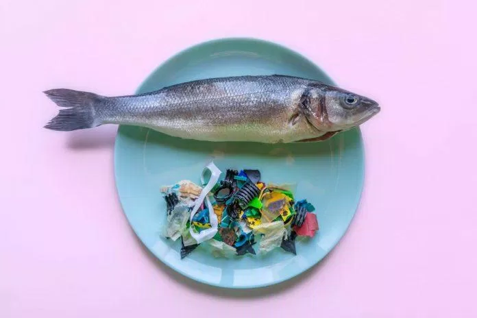 Động vật biển có thể ăn phải rác nhựa do con người thải ra (Ảnh: Internet).