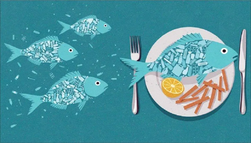 Vi nhựa tiềm ẩn trong thức ăn hằng ngày (Ảnh: Internet) Vi nhựa tiềm ẩn trong thức ăn hằng ngày (Ảnh: Internet)