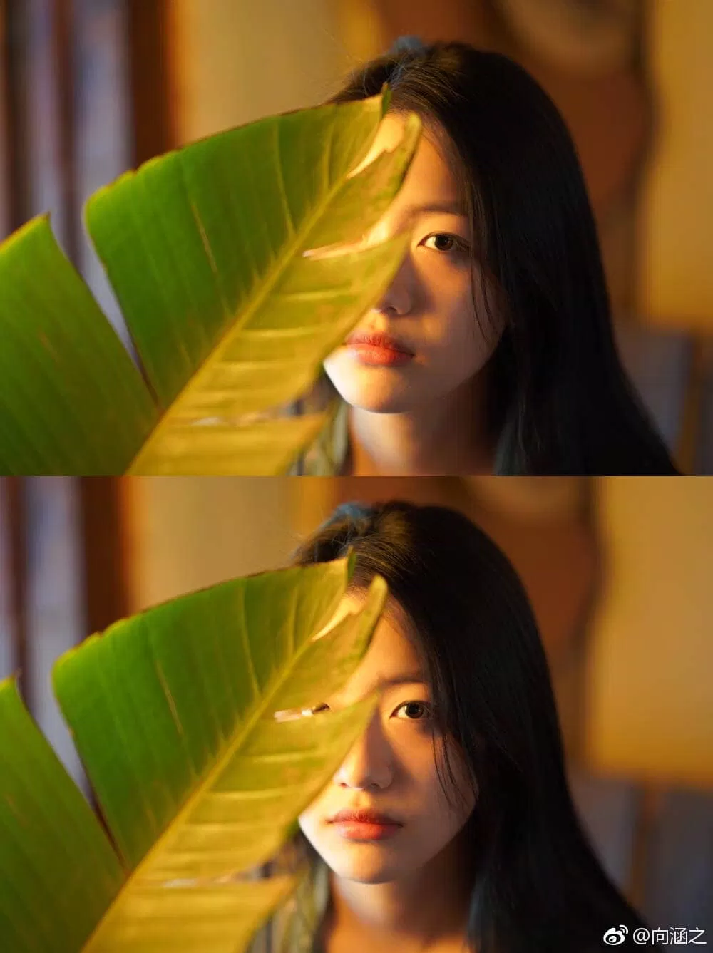 Vẻ đẹp chuẩn nàng thơ Hướng Hàm Chi (ảnh: internet) Vẻ đẹp chuẩn nàng thơ Hướng Hàm Chi (ảnh: internet)