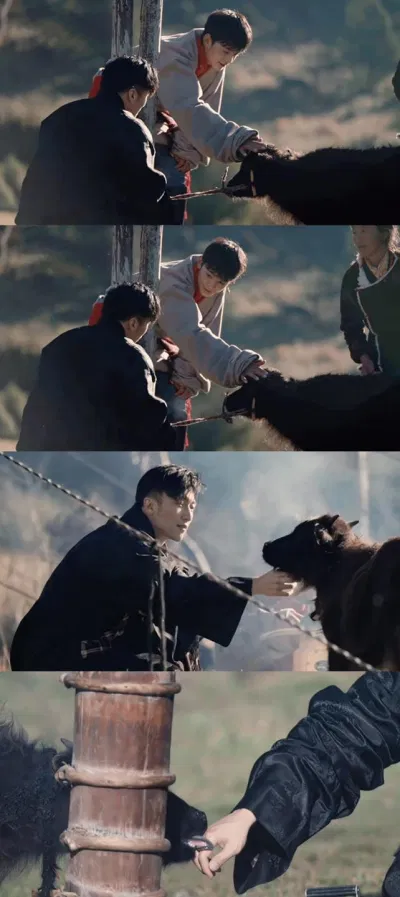 Những bức ảnh biết nói (Nguồn: Internet)