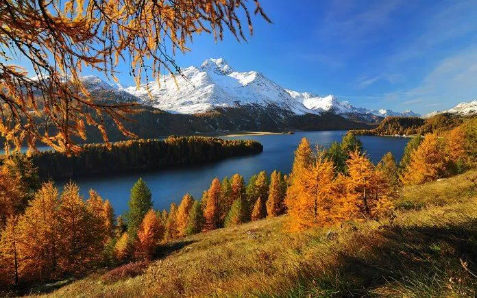 Cây thay lá vào mùa thu ở Thụy Sĩ (Nguồn: Internet).