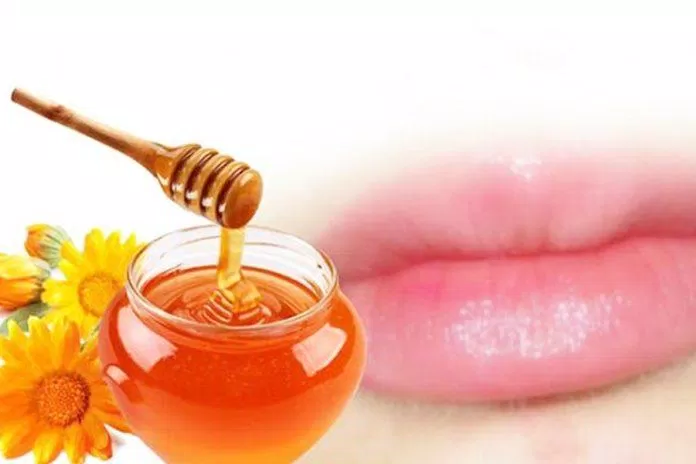 Khử thâm môi đơn giản tại nhà bằng mật ong ( Nguồn: Internet )