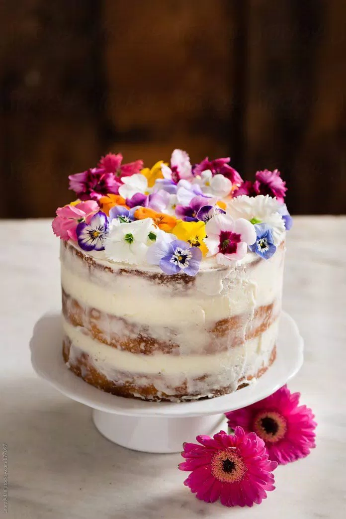 Mẫu bánh sinh nhật đẹp trang bằng bằng hoa khô hot trend năm 2022. (Ảnh: Internet)