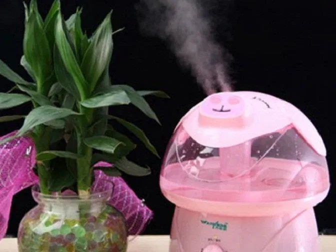 Tăng độ ẩm của không khí để giảm nghẹt mũi (Ảnh: Internet). Tăng độ ẩm của không khí để giảm nghẹt mũi (Ảnh: Internet).